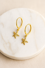 Load image into Gallery viewer, Starfish Hoop Earrings
