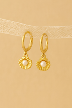 Load image into Gallery viewer, Gold Seashell Earrings