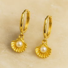 Load image into Gallery viewer, Gold Seashell Earrings