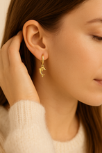 Load image into Gallery viewer, Dainty Dolphine Earrings
