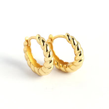 Load image into Gallery viewer, Fashion Round Sterling Silver Plating Earrings 1 Pair
