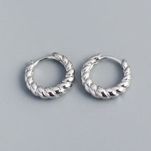 Load image into Gallery viewer, Fashion Round Sterling Silver Plating Earrings 1 Pair
