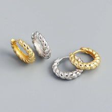 Load image into Gallery viewer, Fashion Round Sterling Silver Plating Earrings 1 Pair
