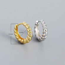 Load image into Gallery viewer, Fashion Round Sterling Silver Plating Earrings 1 Pair
