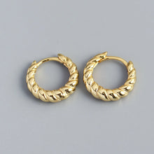 Load image into Gallery viewer, Fashion Round Sterling Silver Plating Earrings 1 Pair

